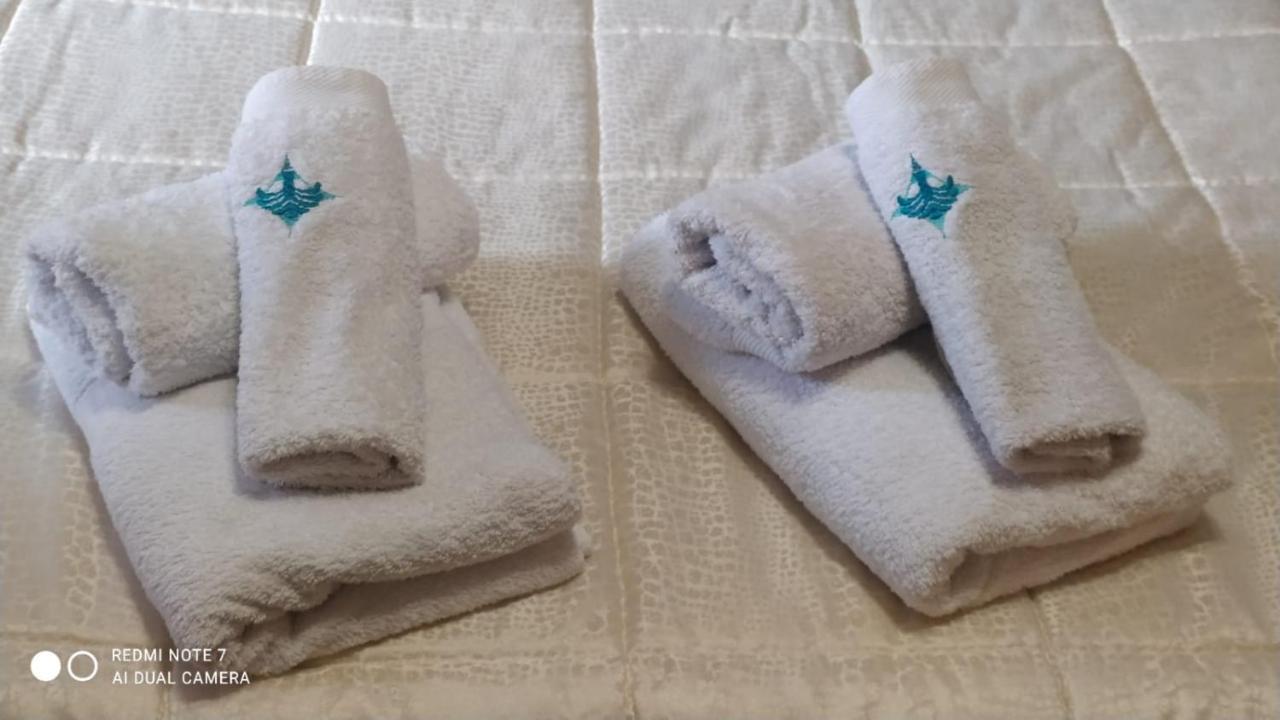 Le Rondini Nel Centro Di *